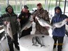 (04/22/2017) - Nice Striped Bass